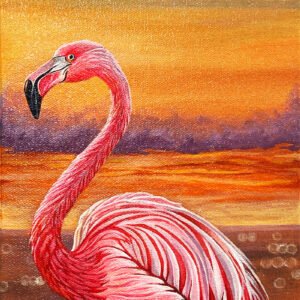 Flamingo