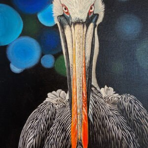 Pelican