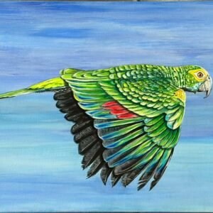 flight of freedom