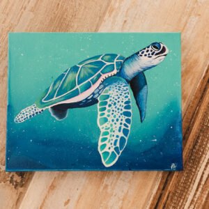 Blue Turtle