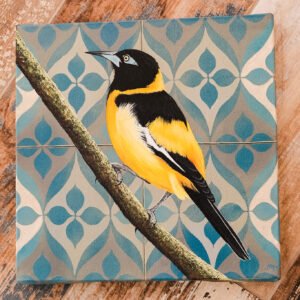 Tiled Trupial