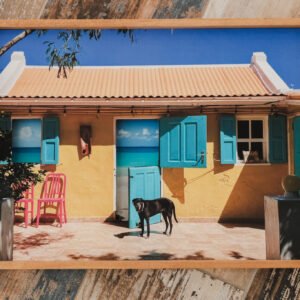 Open Doors Man's Best Friend XL