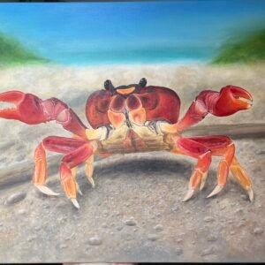 Red Land Crab