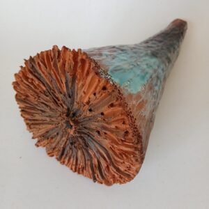 Cone