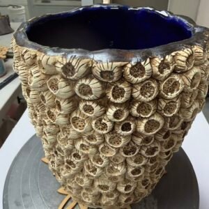 BARNACLE BLOOM