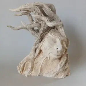 Tree Head