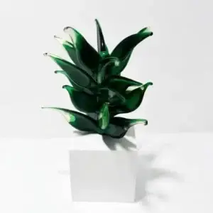 Botanica Altera