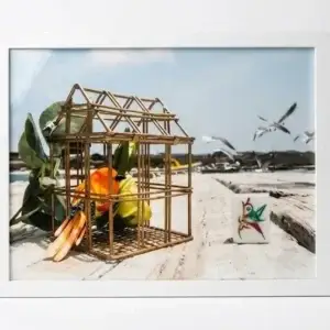 Through the Lens of  Mahjong – Gulf Birds
