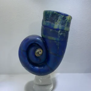 Blue AMMONITE