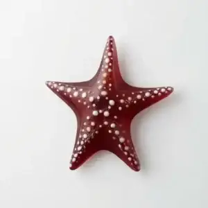 Orange Starfish - Grace Chepenik