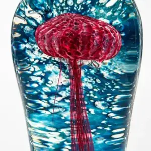 Jellyfish With Background Grace Chepenik
