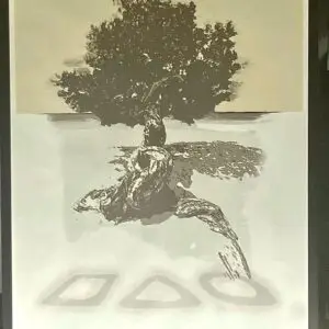 FOFOTI FRAMED