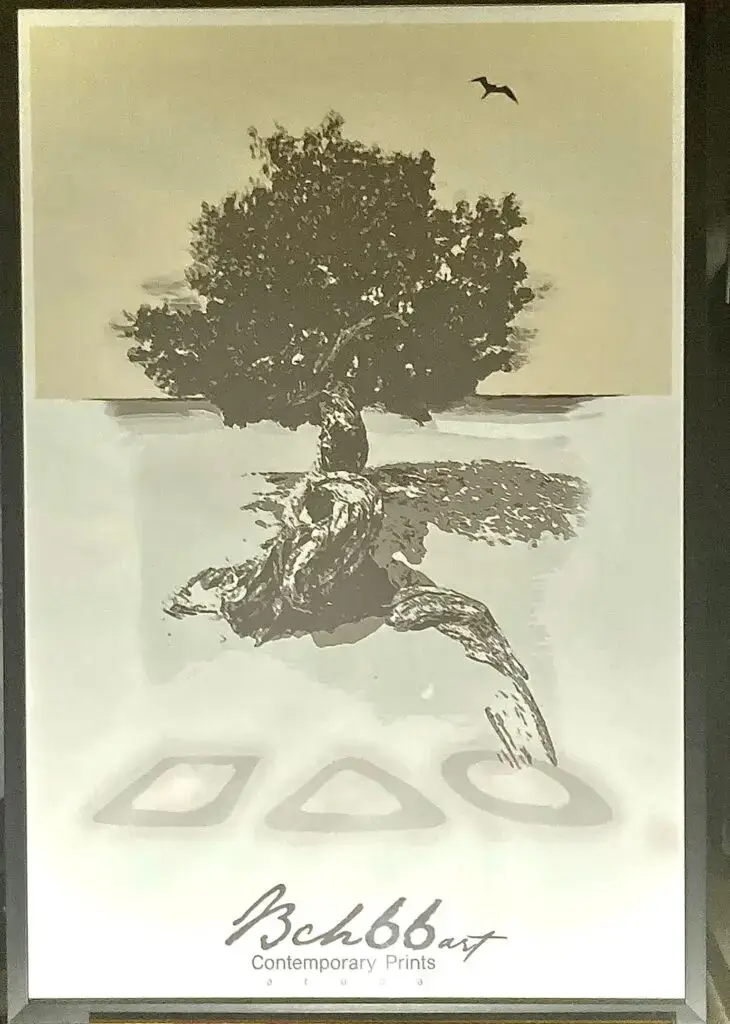 Fofoti Framed