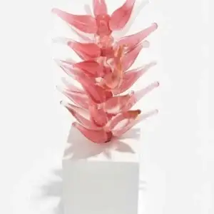 Floralis Imaginata