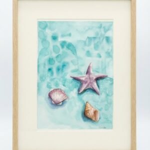 Shells on the shore