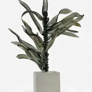 Spina Lucida