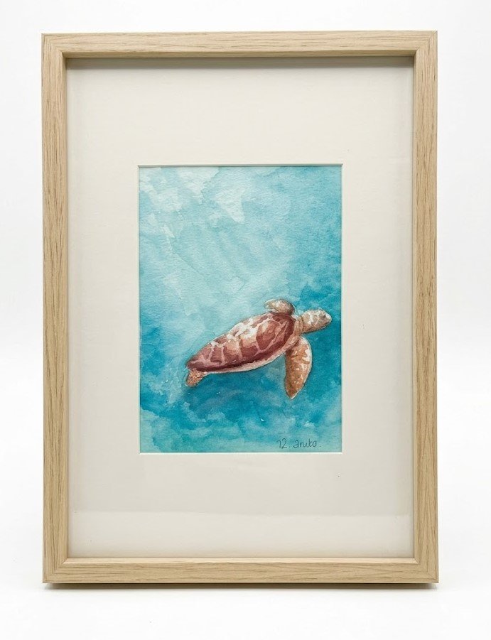 Turtle Small